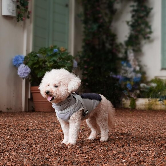 Fleece Dog Coat with Harness Warm Winter Vest Jacket Black XS for Small Dogs - Picture 1 of 5